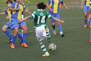 星空体育官网首页-中国足球亚冠：上海申花逆转晋级，燃爆现场热潮，亚冠小组赛上海申花